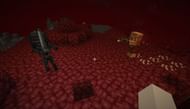 Both are classified as hostile and fight players with swords (Image via Minecraft)